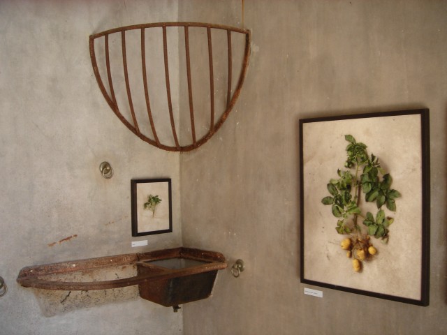 Domaine de Chaumont sur Loire n°2