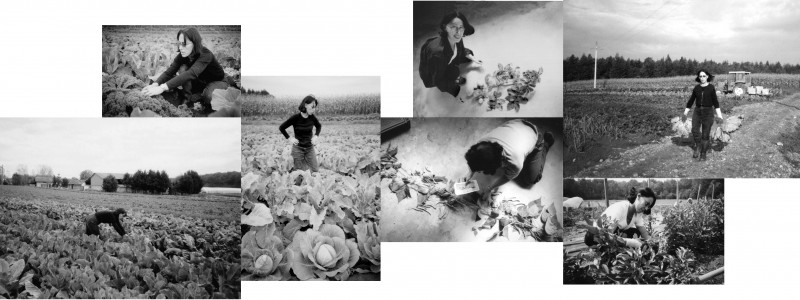 pages 2 et 3