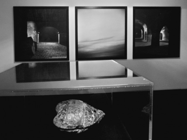 Chambre d'Echos Musée Réattu, Arles