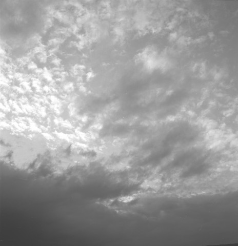 arles (6)