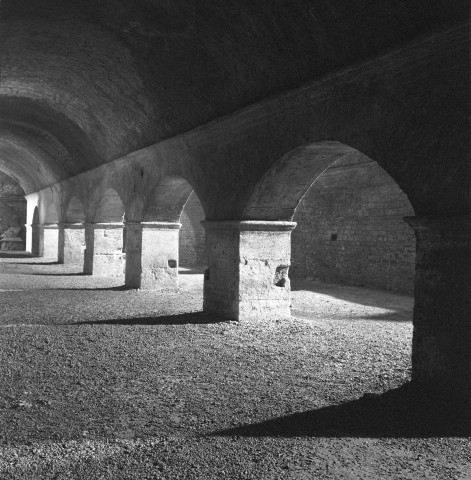 arles (2)