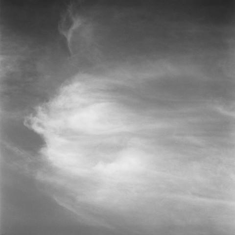 arles (17)