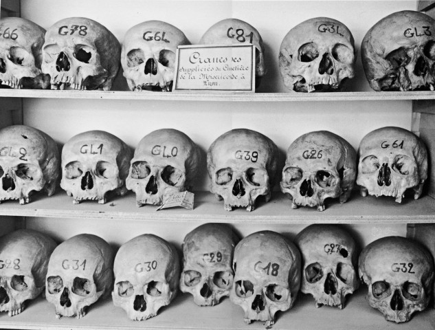 Musée Histoire naturelle Lyon - 18