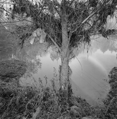 Lônes - 03