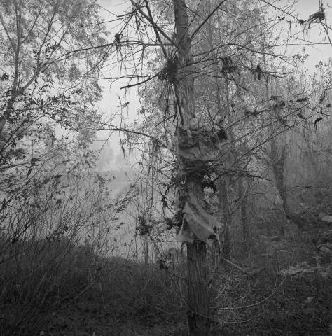 Lônes - 05