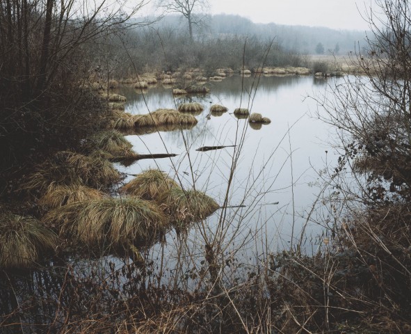 Le jardin de Méreville_08