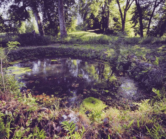 Le jardin de Méreville_07