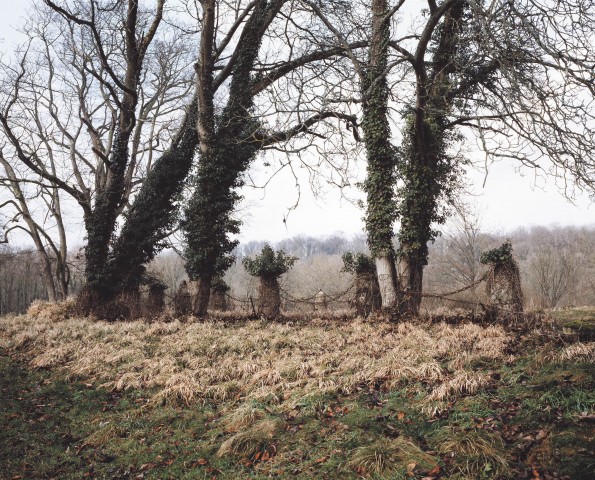 Le jardin de Méreville_04
