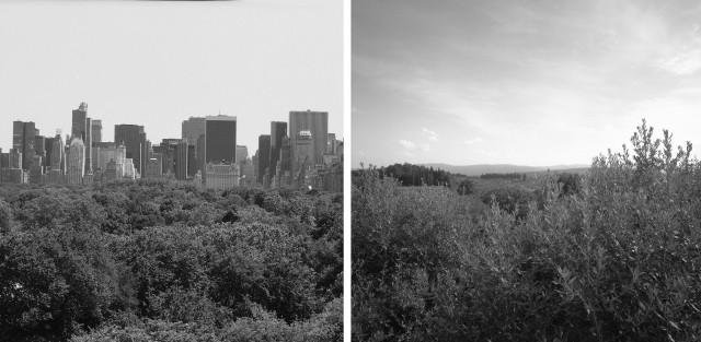 Près et loin d Italo Calvino -09