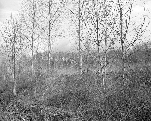 Rimbaud - Roche - 04