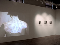 files/media_file_221.jpg