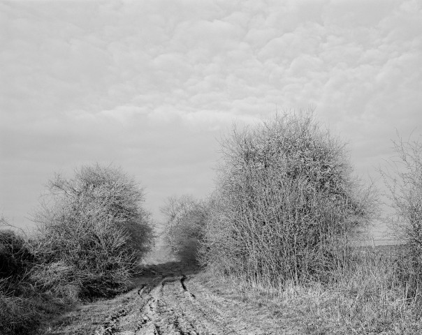 Rimbaud - Roche - 02