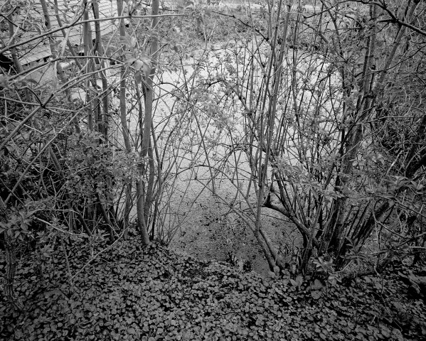 Rimbaud - Roche - 07