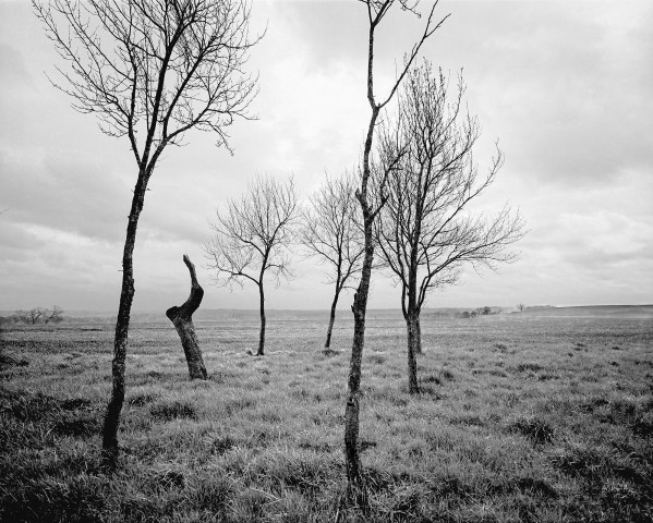 Rimbaud - Roche - 03
