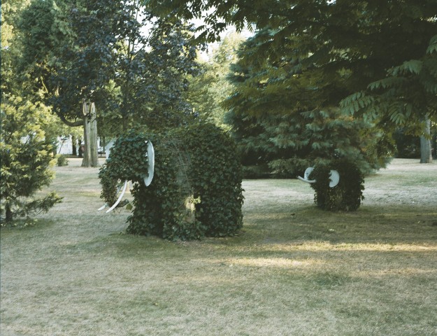 Epinal - 05