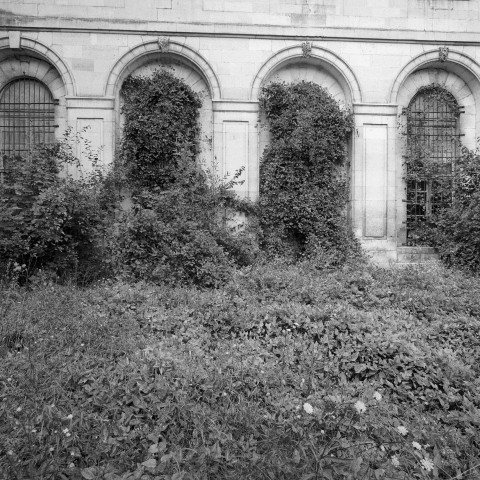 Clairvaux documents - 11