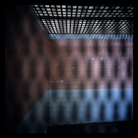 Pardonner N°6