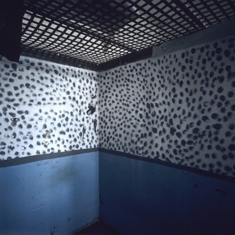 vivre 4