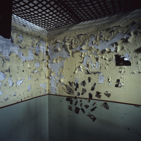 vivre 1
