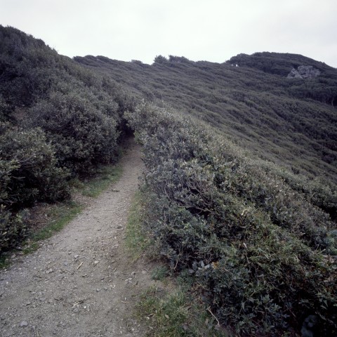scan V750 hyères015