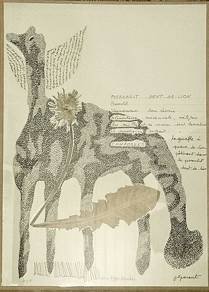 Herbier