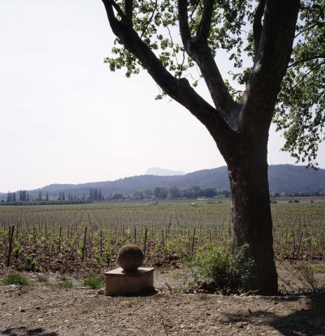 scan domaine004