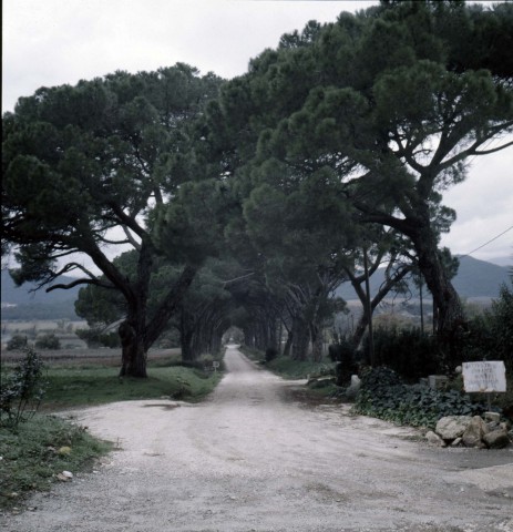 scan domaine008