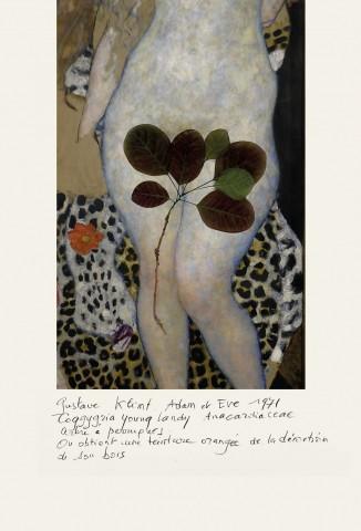 klimt -Coggygria
