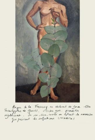 de la Fresnay-Eucalyptus