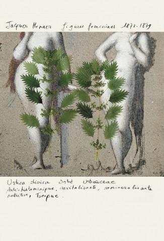Henner- Orties