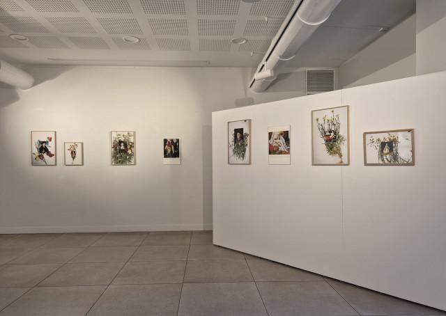 2026, fondation renaud, lyon