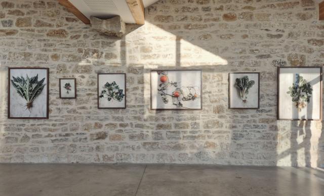 2026, fondation renaud, lyon