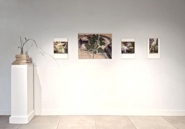 2026, fondation renaud, lyon