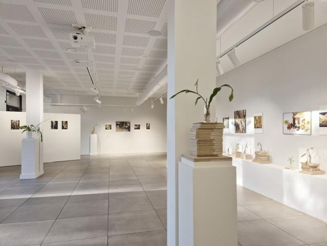 2026, fondation renaud, lyon