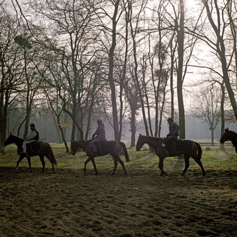 Maisons Laffitte - 08