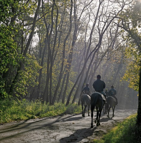 Maisons Laffitte - 01