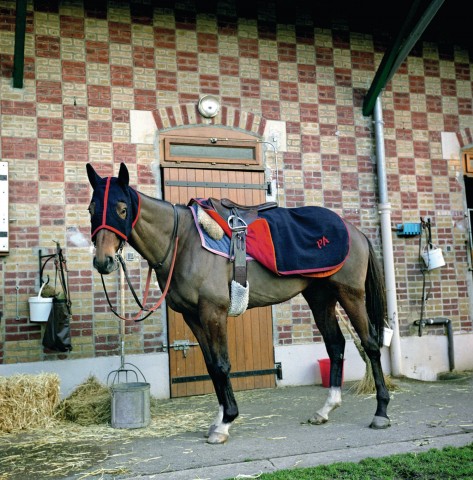 Maisons Laffitte - 03