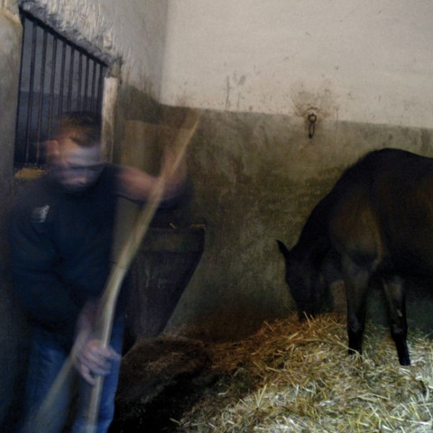 Maisons Laffitte - 11