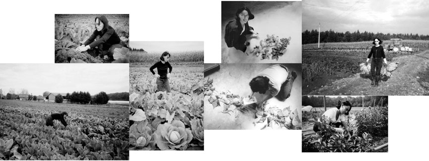 pages 2 et 3