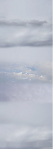 files/media_file_428.jpg