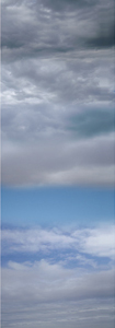 files/media_file_430.jpg