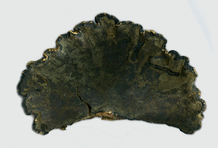files/media_file_471.png