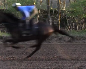 canter