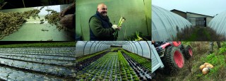 Les légumes de Gilles Béréziat à la ferme des Bioux