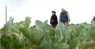 Reportage Francetvinfo - La photographe et le jardinier, Septembre 2013